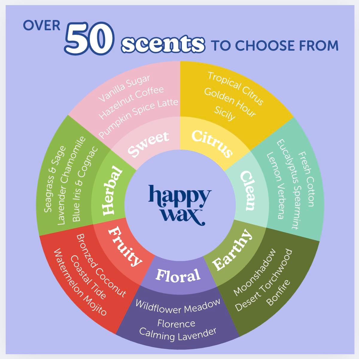 Beach Mix Premium Scented Natural, Non Toxic Soy Wax Melts – 6 Total Oz. of Scented Wax Melts. Includes: Pina Colada, Coastal Tide, and Pineapple Mango