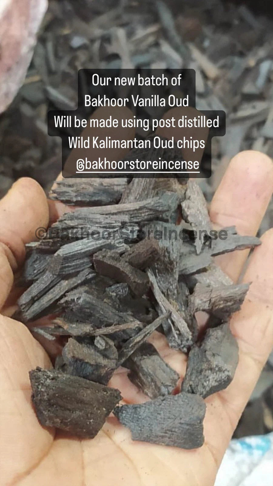Bakhoor Vanilla Oud New Batch Made with Real Oud Pieces | No Synthetic | Natural Handmade Incense